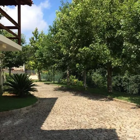 Апартаменты Casa De Madeira Palmaz