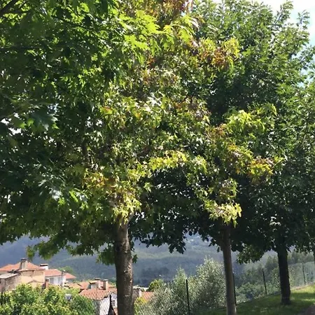 Casa De Madeira Palmaz