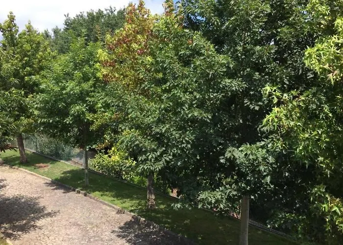 Casa De Madeira Palmaz