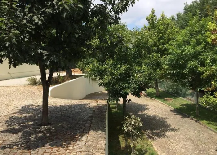 Daire Casa De Madeira Palmaz